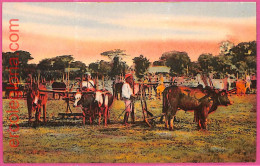 Af9305 - MYANMAR  Burma  -  VINTAGE POSTCARD - Ethnic - Myanmar (Burma)