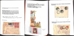 Lotti&Collezioni - Area Italiana  - POSTA MILITARE - 1915/1919 - Splendida Collezione Di Cartoline E Buste Con Annulli D - Other & Unclassified
