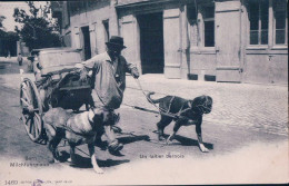 Bern Milchführmann, Attelage De Chiens Pour Le Transport Du Lait (12.7.1904) - Bern