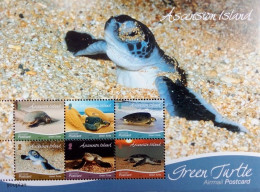 Ascension 2019, Green Turtle, MNH S/S - Ascension