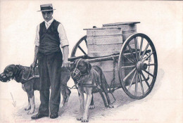 Lucerne, Milchführmann, Attelage De Chiens Pour Le Transport Du Lait (203) - Lucerna