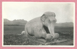 CHINA - Photo - Meili Photographic Studio - PEKING - MING TOMB - MARBLE ELEPHANT - 2 Scans - China