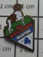 3417 Pin's Pins / Beau Et Rare / ANIMAUX / CHIEN DE CHASSE EPAGNEUL BRETON ROYAL CANIN SELECTION 4 - Animali