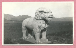 CHINA - Photo - Meili Photographic Studio - PEKING - MING TOMB -  MARBLE LION - 2 Scans - China