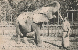 PARIS - Jardin Des Plantes, Toby éléphant D'Afrique. - District 05