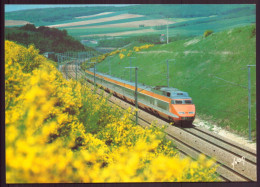 TGV TRAIN A GRANDE VITESSE - Trains