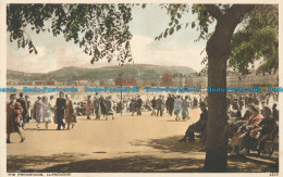 R029689 The Promenade. Llandudno. Photo Precision. English. No 4219 - Welt