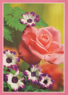FLOWERS Vintage Postcard CPSM #PAS314.A - Bloemen
