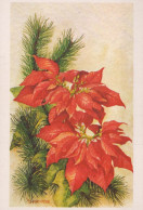 FLOWERS Vintage Postcard CPSM #PAR818.A - Bloemen