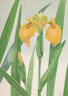 FLOWERS Vintage Ansichtskarte Postkarte CPSM #PAR487.A - Bloemen