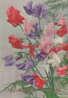 FLOWERS Vintage Ansichtskarte Postkarte CPSM #PAR317.A - Bloemen