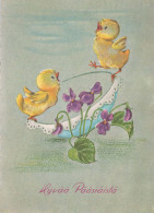 PASQUA POLLO UOVO Vintage Cartolina CPSM #PBO698.A - Pascua