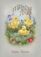 EASTER CHICKEN EGG Vintage Postcard CPSM #PBO601.A - Pascua