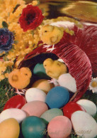 EASTER CHICKEN EGG Vintage Postcard CPSM #PBO586.A - Pâques