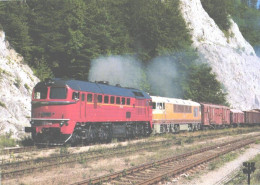 Train, Railway, Locomotives T 679.1168 And T678.0019 - Treinen