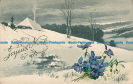 R031165 Joyeux Noel. Winter Scene. 1906 - Wereld