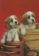 CANE Animale Vintage Cartolina CPSM #PAN454.A - Chiens