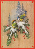 PÁJARO Animales Vintage Tarjeta Postal CPSM #PAM957.A - Oiseaux