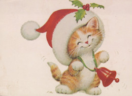 CAT KITTY Animals Vintage Postcard CPSM #PAM596.A - Gatos