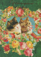 GATTO KITTY Animale Vintage Cartolina CPSM #PAM573.A - Gatos