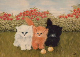 KATZE MIEZEKATZE Tier Vintage Ansichtskarte Postkarte CPSM Unposted #PAM435.A - Katten