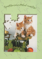 GATTO KITTY Animale Vintage Cartolina CPSM Unposted #PAM303.A - Cats