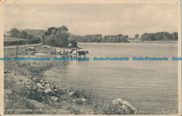 R029781 Carlingwark Loch. Castle Douglas. Valentine - Wereld