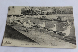 Lyon - Les Mouettes Au Pont De La Feuillée - 1906 - Other & Unclassified