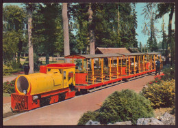 ORLEANS LE PETIT TRAIN DU PARC FLORAL - Autres & Non Classés