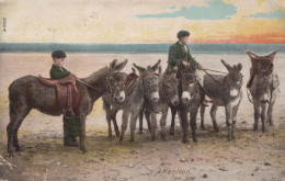BURRO Animales Niños Vintage Antiguo CPA Tarjeta Postal #PAA091.A - Donkeys