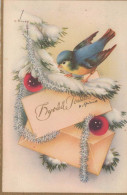 VOGEL Vintage Ansichtskarte Postkarte CPSMPF #PKG968.A - Birds