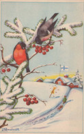 Feliz Año Navidad PÁJARO Vintage Tarjeta Postal CPA #PKE812.A - New Year