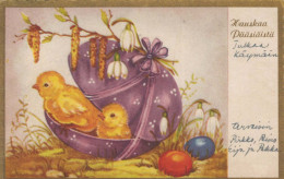 PÂQUES POULET ŒUF Vintage Carte Postale CPA #PKE419.A - Pasqua