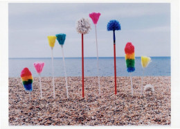 Beach Clean Sian Bonnell LGBT Gay Mops Brush Rainbow Photo Postcard - Fotografie