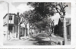 AIZENAY ( 85 ) - Avenue De Verdun ( C.P.S.M. , Pt - Ft ) - Aizenay