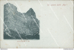 Bf241 Cartolina Un Saluto Dalle Alpi Monte Pelmo - Non Classificati