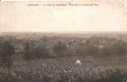 Chichery - Un Coin De Vignobles - Vue Sur Le Centre Du Pays - Andere & Zonder Classificatie