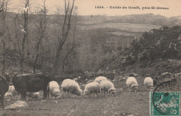 Saint Brieuc (22 - Côtes D'Armor) Les Moutons De La Vallée Du Gouët - Saint-Brieuc