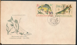 °°° CESKOSLOVENSKO 1966 FDC °°° - Cartas & Documentos