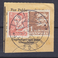 Denmark 1948 Mi. 289, 304, 20 Øre King Frederik IX. Sonderstempel '50 År' ESBJERG 1949 Clip - Usati