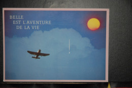 CP, AVIATION, Belle Est L'aventure De La Vie, Avion - 1946-....: Modern Era