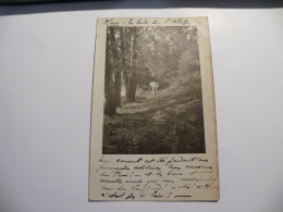 A547 . CPA. ROUMANIE.Villa Clari Par Bals. Carte Photo à Situer. .. Beau Plan Animé.  écrite & Voyagée 1906 - Roemenië