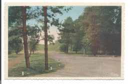 HARDELOT Plage - Avenue Du Bois - Coll. Lefebvre - Autres & Non Classés