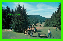 FUNDY, NEW BRUNSWICK - THE GOLF COURSE THE 1st TEE - FUNDY NATIONAL PARK - SAINT JOHN NEWS CO - - Andere & Zonder Classificatie