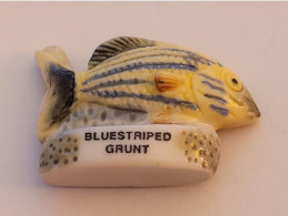 Féves  ** Poisson Bluestriped Grunt - Dieren