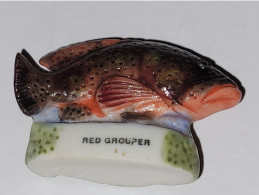 Delcampe - Féves  ** Poisson Red Grouper - Tiere