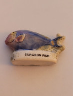 Féves  ** Poisson Surgeon Fish - Animaux