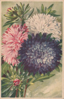 FLOWERS Vintage Postcard CPA #PKE701.GB - Fleurs