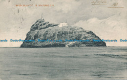 R030333 Bird Island. S. Vicente C. V. B. Hopkins - Mondo