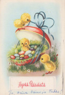 EASTER CHICKEN EGG Vintage Postcard CPSM #PBO631.GB - Pâques